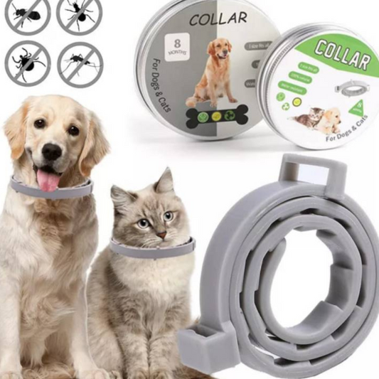 Pet Flea Collar