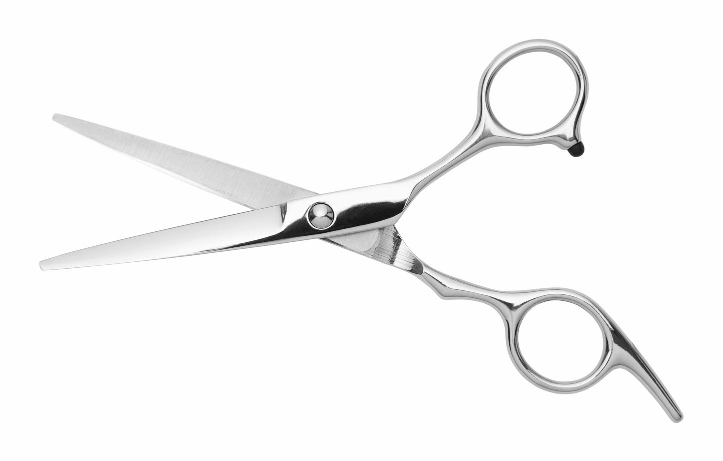 Professional Straight and Thinning Hair Cutting Scissors